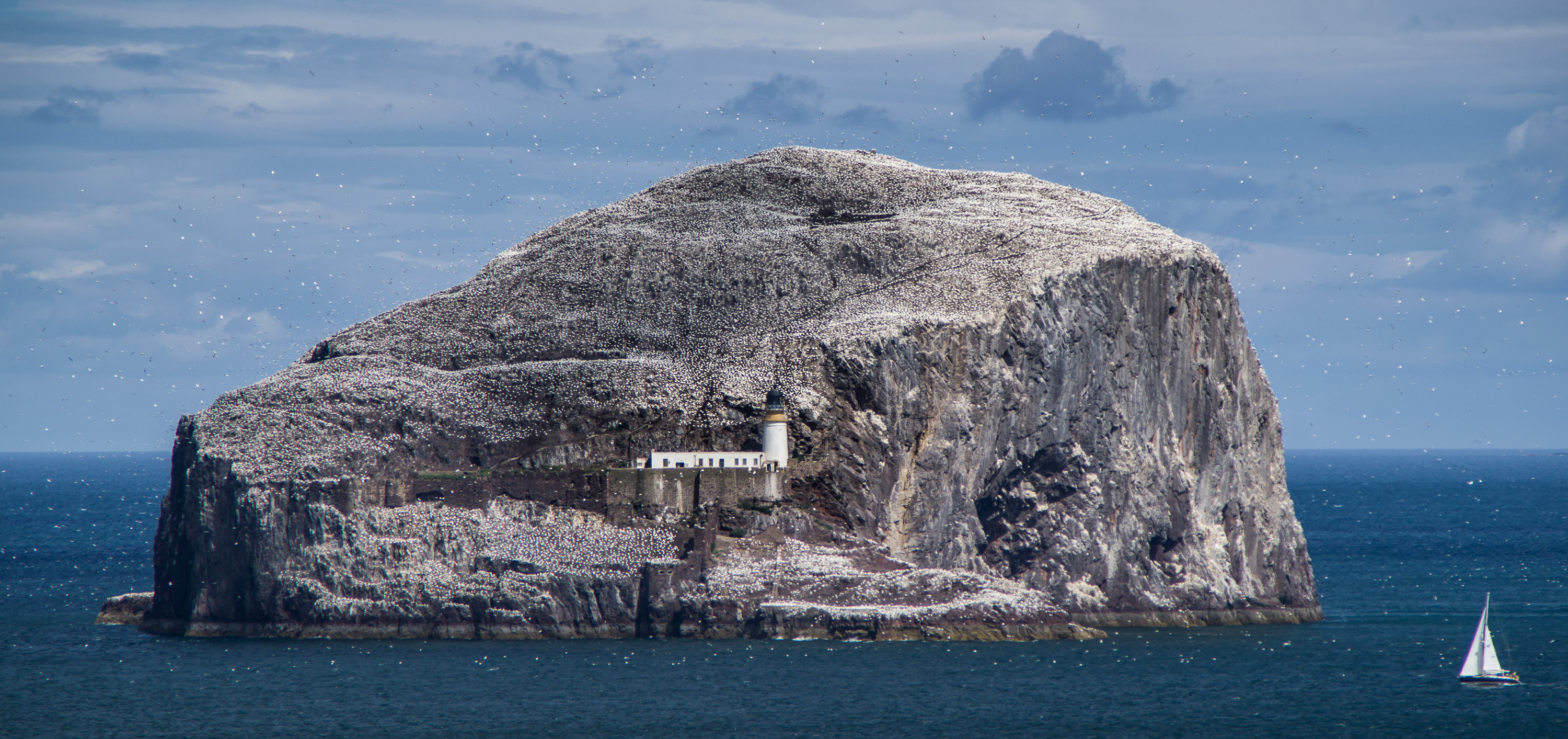 Bass rock lighthouse